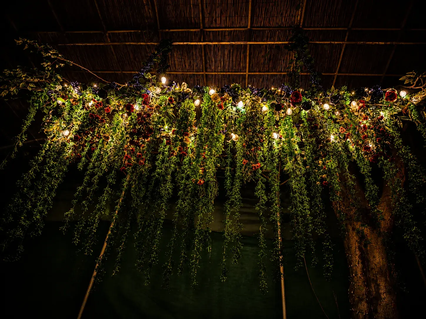 Hanging greenery and warm lights across the ceiling